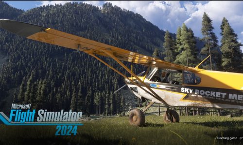Flight Simulator 2024
