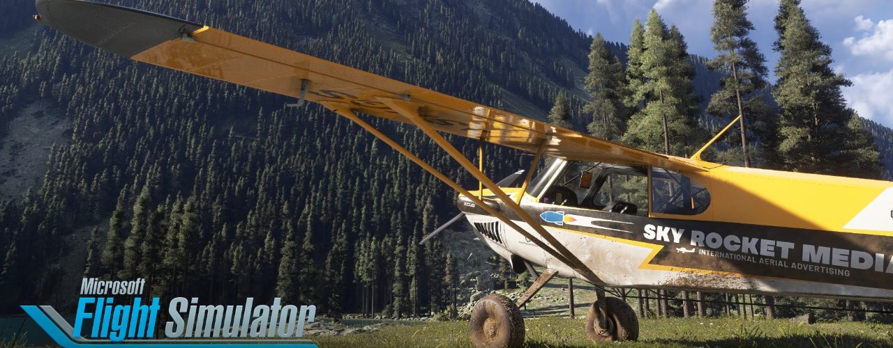 Flight Simulator 2024